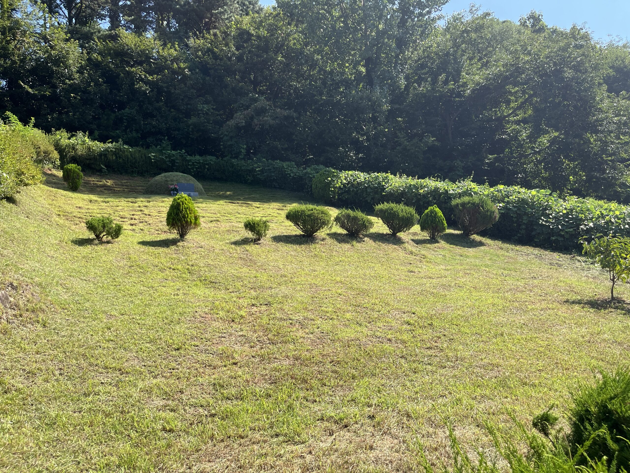 남원 묘지이장 관리 사진 1